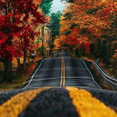 乐鱼下载app截图