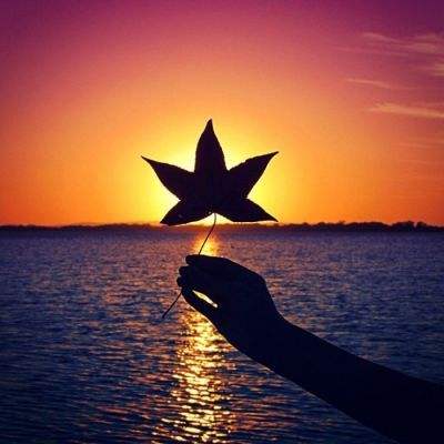 爱游戏全站手机app下载