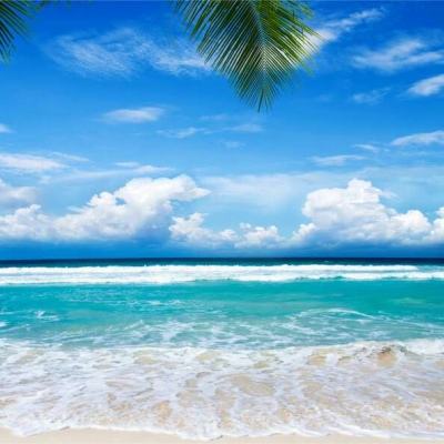 金沙官方版下载