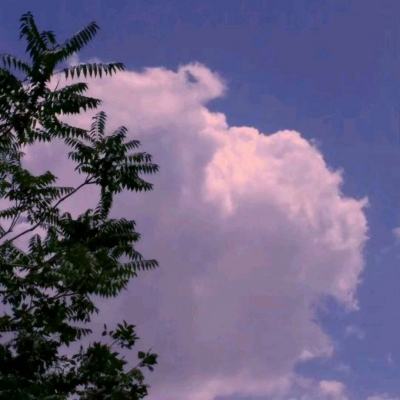 kaiyun体育网页登陆入口