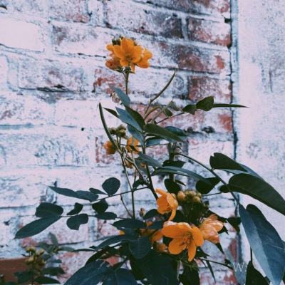 欧意app下载截图